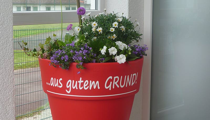 Aus gutem Grund